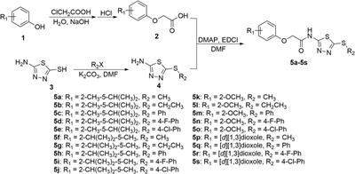 Novel botanical active component derivatives containing carboxamide and 1,3,4-Thiadiazole thioether moieties: Design, synthesis, and inhibitory activity